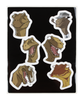 A black sticker sheet with 6 different stickers of dinosaur heads from Tesladyne. 