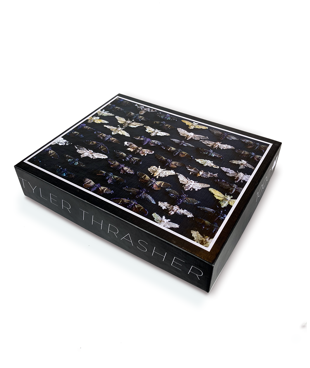 A black puzzle box lid that depicts rows of neatly arranged cicadas of different varieties.