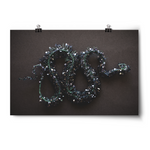 Horizontal print of a crystalized snake skeleton. Green and gold crystals cover entirely of skeleton that against a black background - from Tyler Thrasher