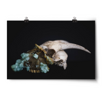 Horizontal poster of a skull with teal crystals on the front of the skull against a black background - from Tyler Thrasher