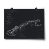 Horizontal print of a line drawing of a frog in different poses against a black background - from Tyler Thrasher